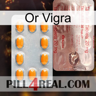 Gold Vigra new13